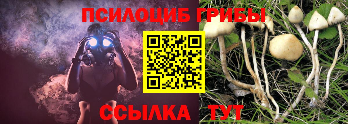 Галлюциногенные грибы прущие грибы Фрязино